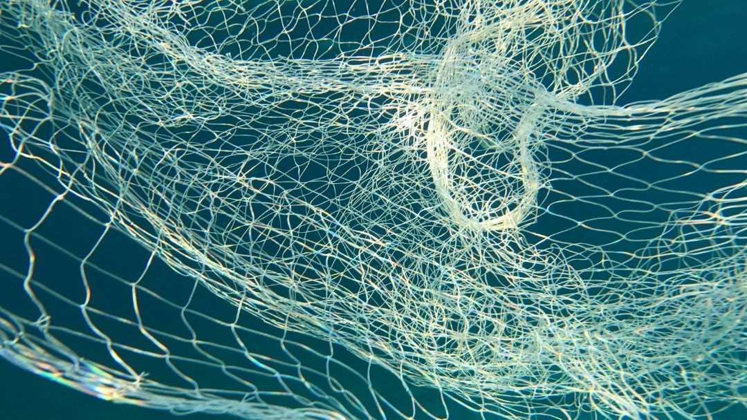 Detail of a monofilament fishing net in the water, showing the structure of the threads and their interaction with the aquatic environment.