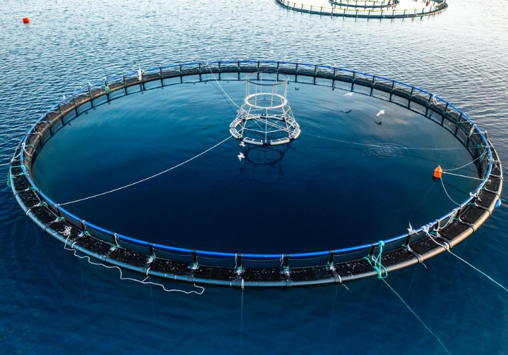 Estrutura circular de aquicultura marinha em alto-mar para produção controlada de peixe.