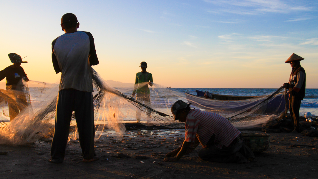 Quatro homens a puxar uma rede de pesca do mar na praia.